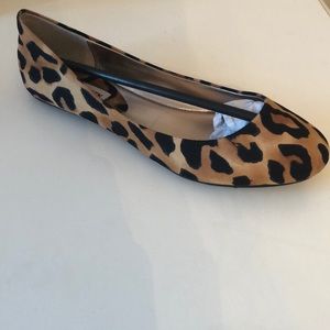 steve madden cheetah ballet flats
